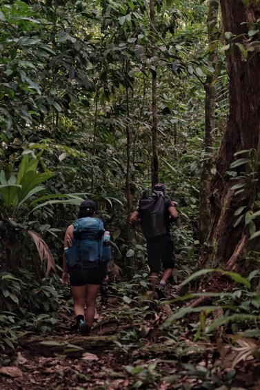 Picture 3 for Activity Full Day Adventure Corcovado