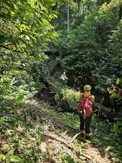 Picture 4 for Activity Full Day Adventure Corcovado