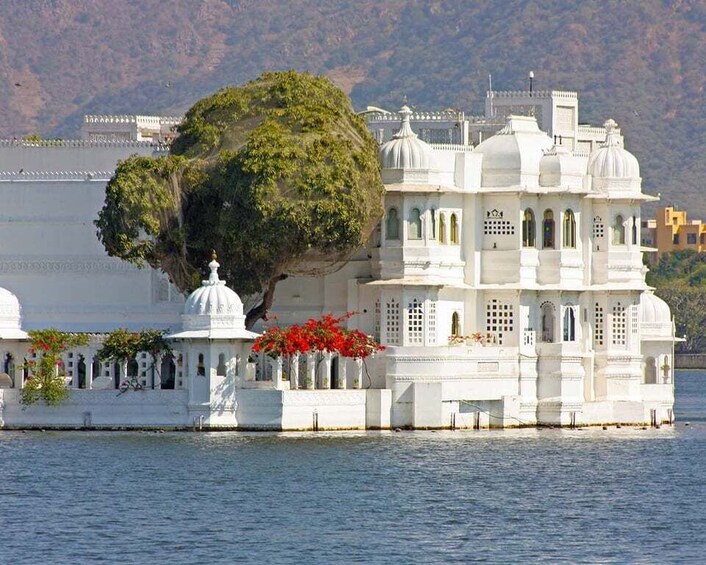 Picture 3 for Activity Udaipur: Private Sightseeing Guided City Tour in Udaipur