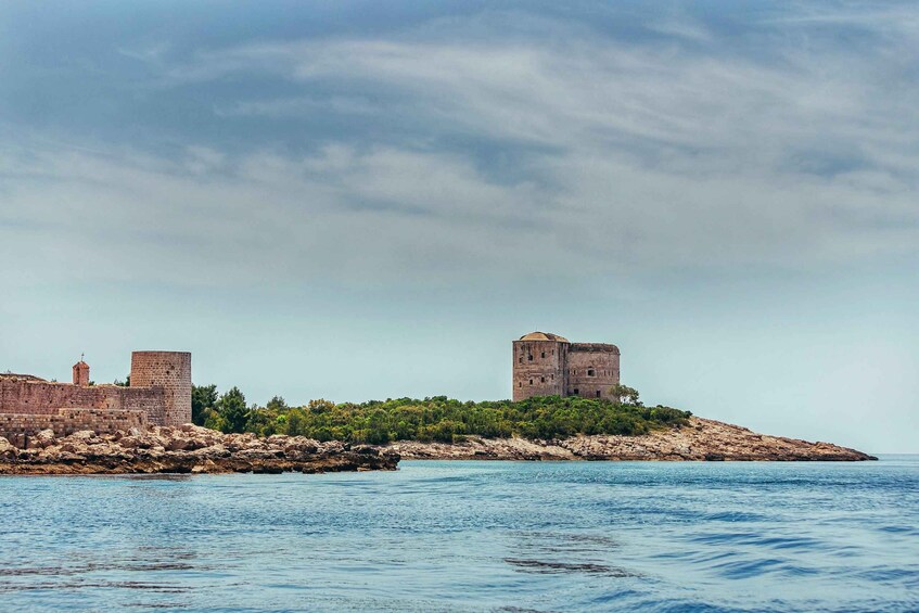 Picture 4 for Activity From Herceg Novi: Blue Cave Private Boat Tour