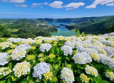 Sete Cidades / Lagoa do Fogo - Full Day Tour