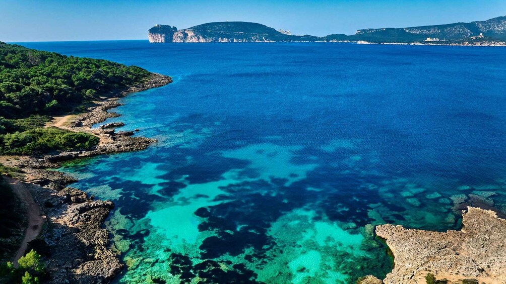 Picture 6 for Activity Alghero: trekking in the Porto Conte park
