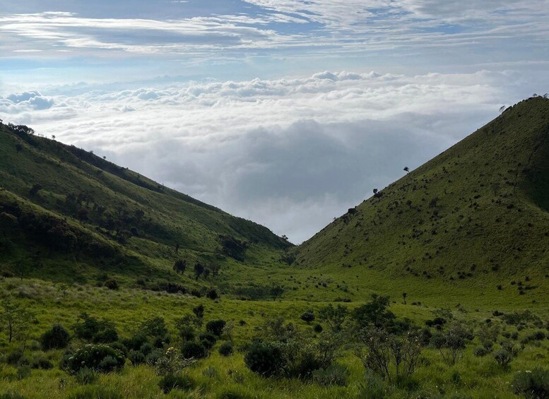 Picture 5 for Activity Yogyakarta: Mt. Merbabu 1 Day Hike / Camping Options