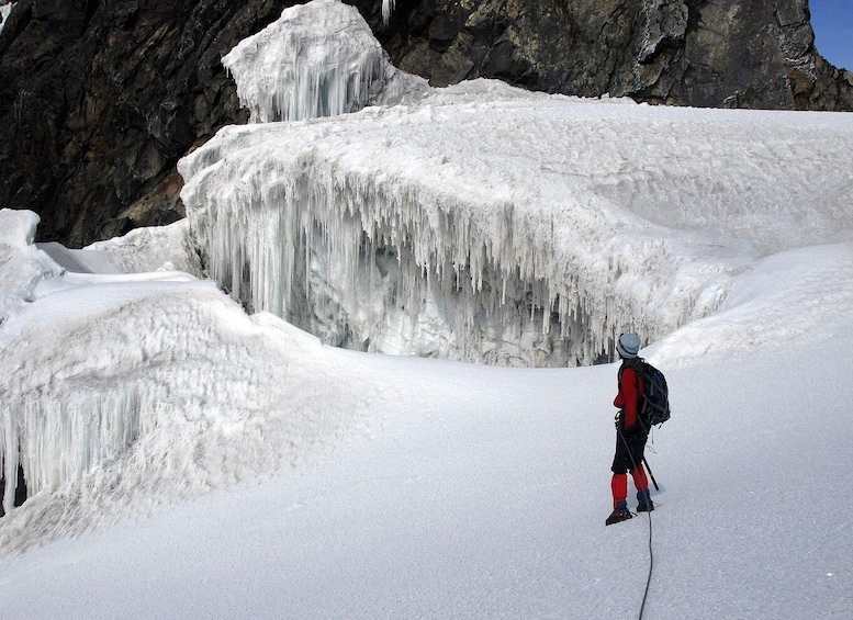 Picture 3 for Activity 10-Day Rwenzori Mountaineering Tour