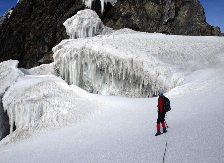 Picture 3 for Activity 10-Day Rwenzori Mountaineering Tour