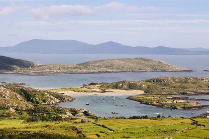 From Killarney: Ring of Kerry & Skellig Ring Full-Day Tour