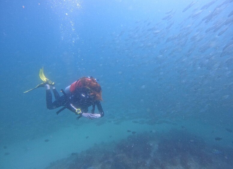 Picture 6 for Activity 2-Dives for certified divers in Fujairah with BBQ lunch