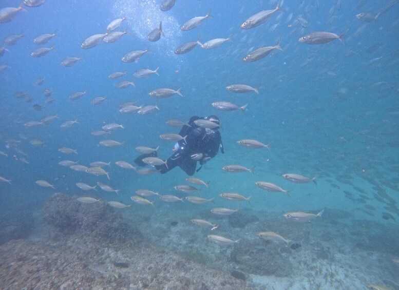 Picture 3 for Activity 2-Dives for certified divers in Fujairah with BBQ lunch