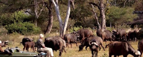 3 Day Hluhluwe & Isimangaliso Wetlands Pk Tour from Durban