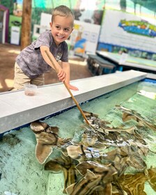 Port Stephens: Shark, Ray and All Creatures Rescue Ticket