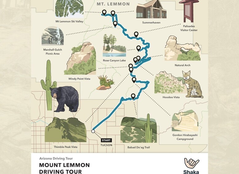 Picture 2 for Activity Tucson Tour: Saguaro & Mt. Lemmon Self-Guided Audio Tour