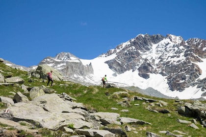 Como Lake: Valmasino and Preda Rossa full-day hike