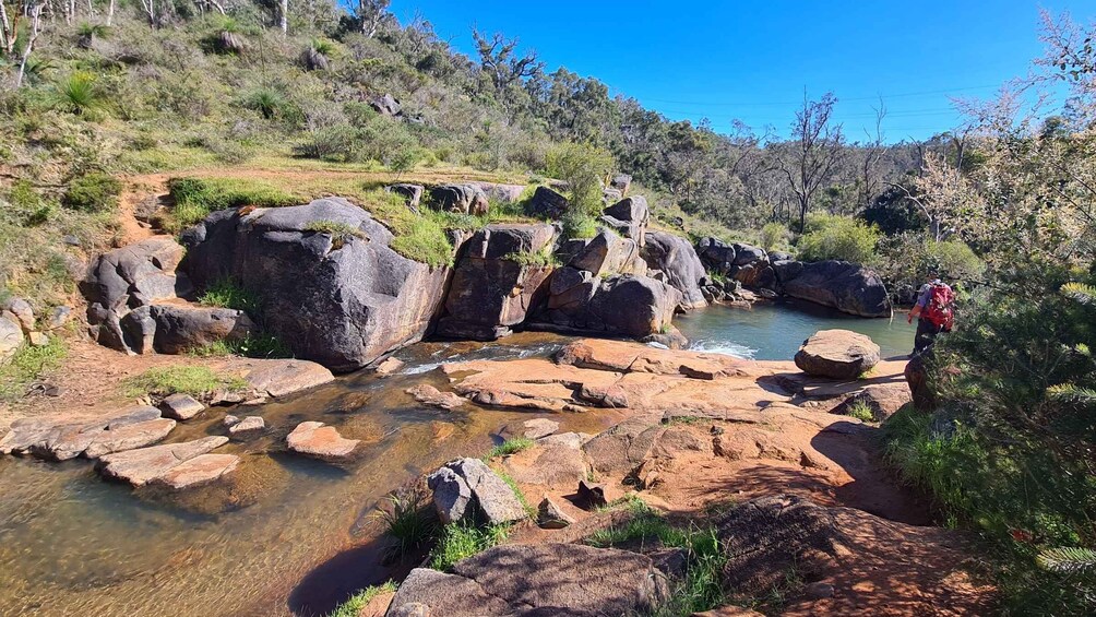 Picture 2 for Activity From Perth or Baldivis: Perth Hills Hike, Wine, & Dine Tour