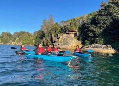 Sydney: Geführte Kajaktour zu den Stränden von Manly Cove