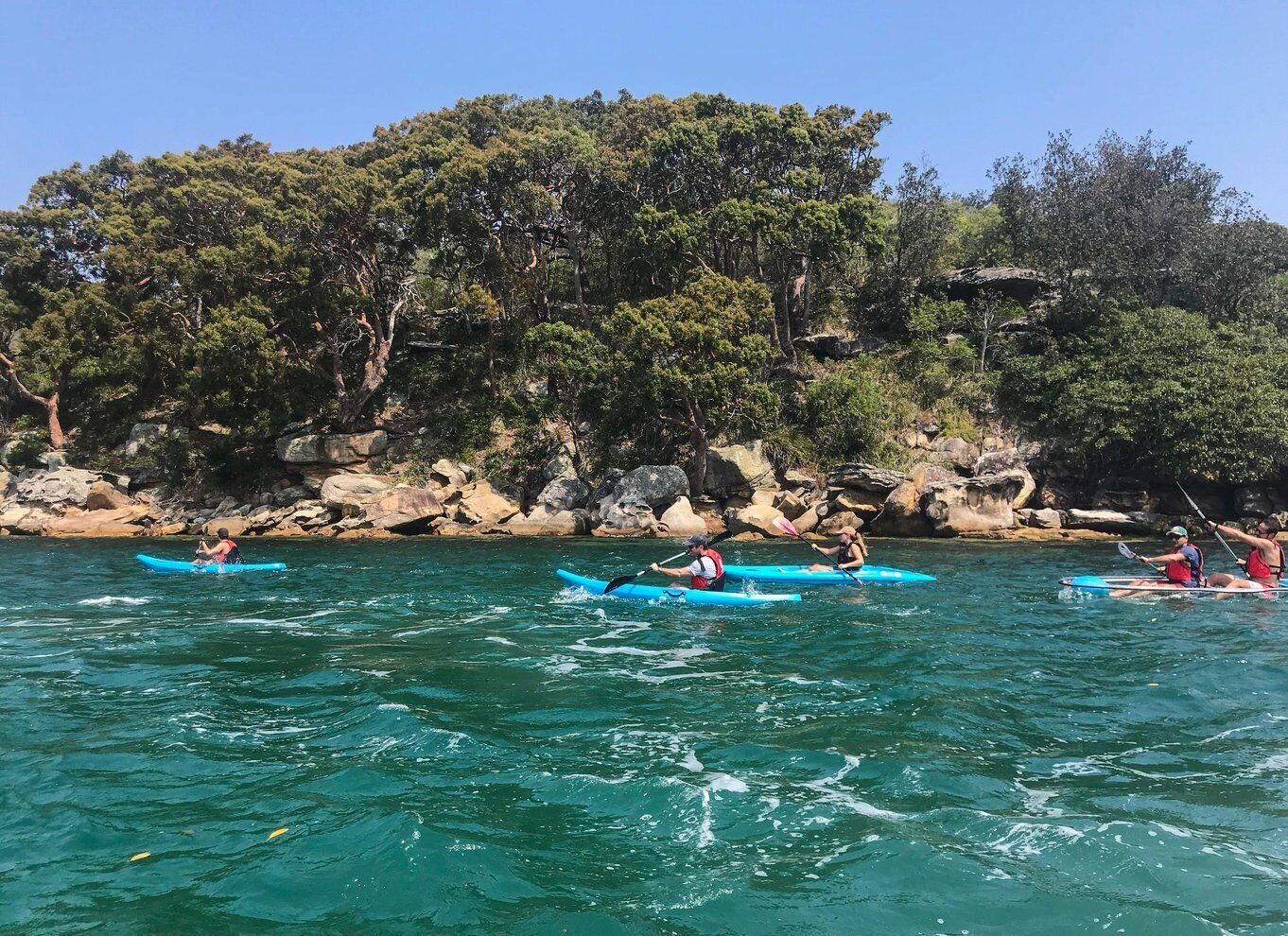 Sydney: Guided Kayak Tour of Manly Cove Beaches