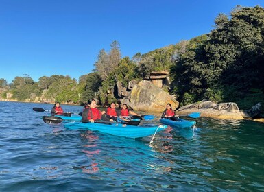 Sydney : Kayak guidé excursion des plages de Manly Cove