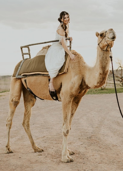 Picture 5 for Activity Las Vegas: Desert Camel Ride