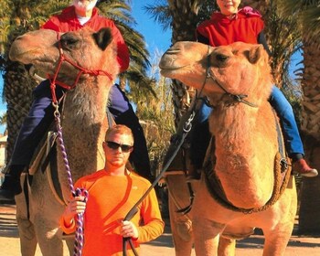 Las Vegas: Desert Camel Ride