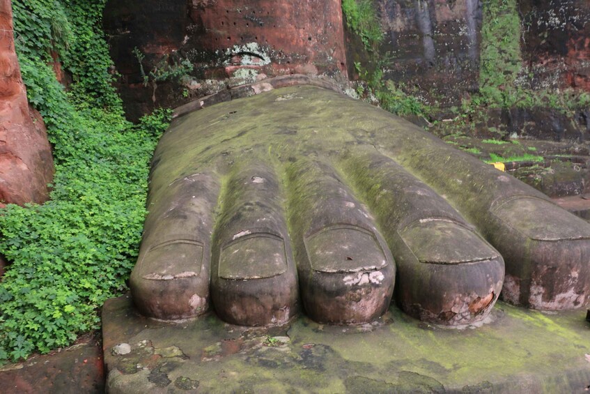 Picture 2 for Activity Leshan Buddha Mountain Emei 2 Days option add panda tour