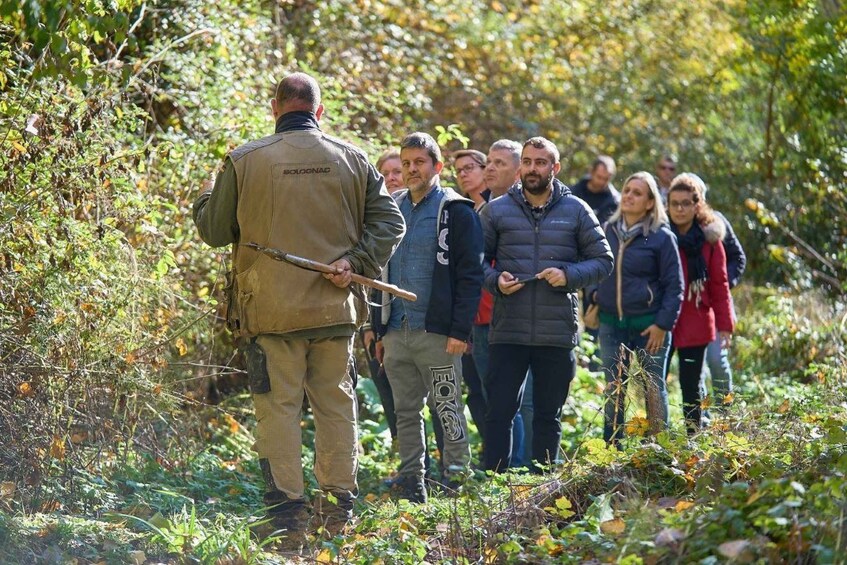 Picture 9 for Activity Siena - Truffle hunting in the Sienese woods with tasting