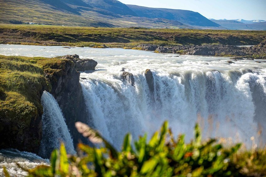 Picture 2 for Activity Goðafoss Waterfall Tour from Akureyri Port