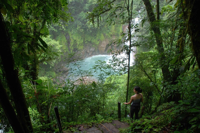 Picture 1 for Activity Rio Celeste Waterfall&sloth seeking experience
