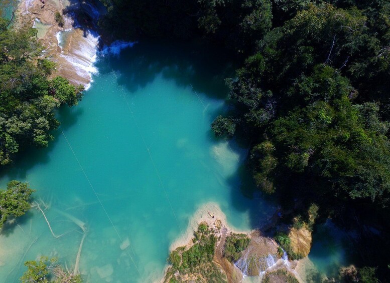 Picture 4 for Activity From Palenque: Palenque Ruins and waterfalls Roberto Barrios