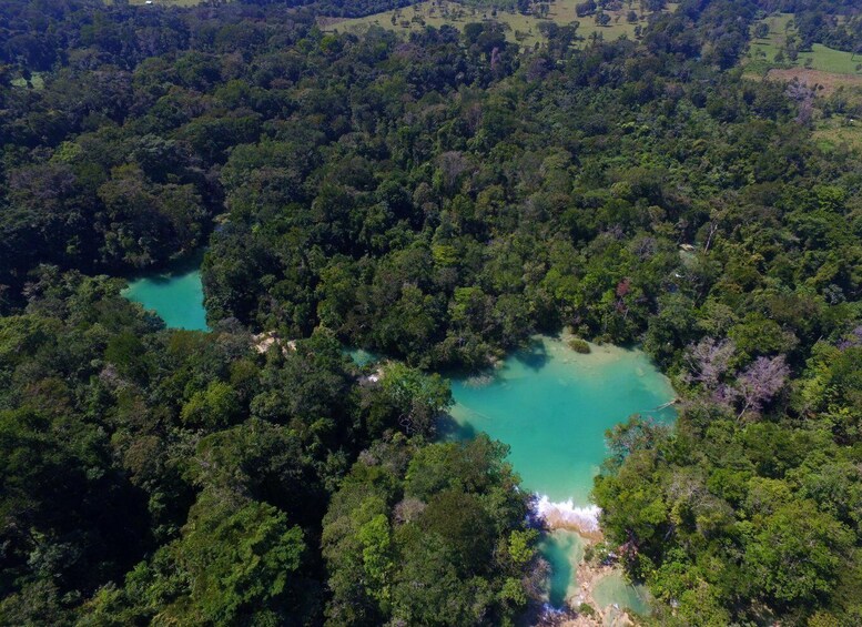 From Palenque: Palenque Ruins and waterfalls Roberto Barrios