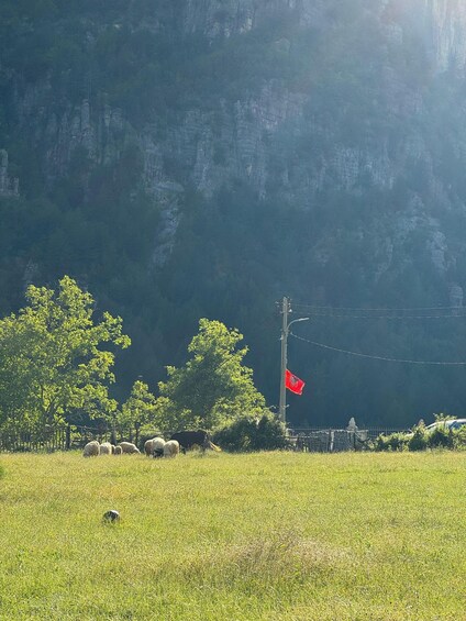 Picture 14 for Activity Tirana: Albanian Alps and Theth Village Day Tour w/Lunch