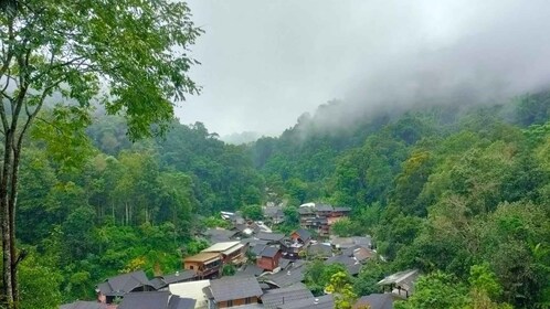 Chiang Mai: Mae Kampong Village, Hot Springs & Bor Sang Tour