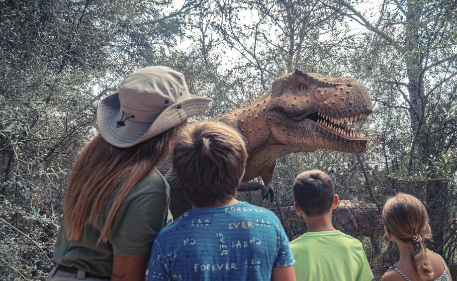 Picture 5 for Activity From Alcúdia: Dinosaurland and Hams' Caves Half-Day Trip