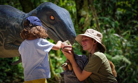 Von Alcúdia aus: Dinosaurierland und Schinkenhöhlen Halbtagestour