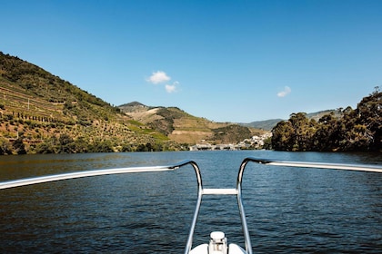 Douro River Private Cruise