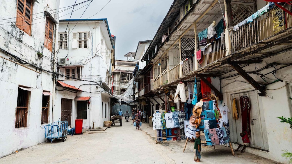 Picture 86 for Activity Zanzibar: Stone Town, Spice Tour and Prison Island Day Trip