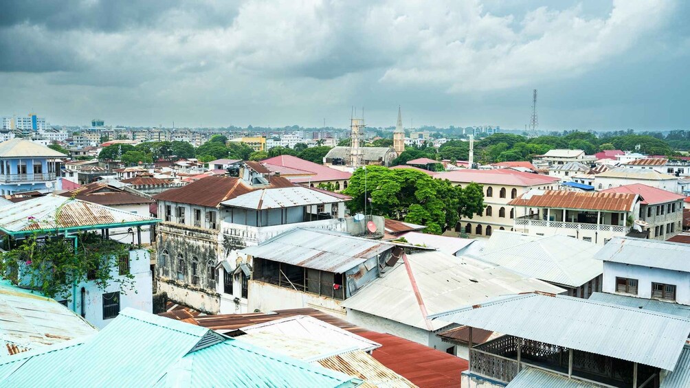 Picture 41 for Activity Zanzibar: Stone Town, Spice Tour and Prison Island Day Trip
