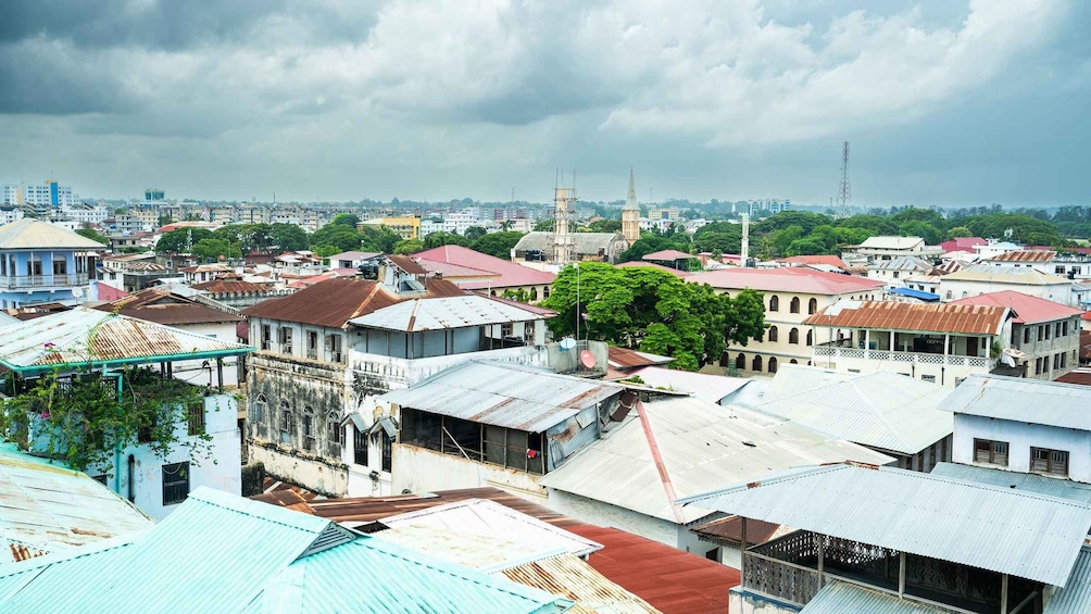 Picture 41 for Activity Zanzibar: Stone Town, Spice Tour and Prison Island Day Trip