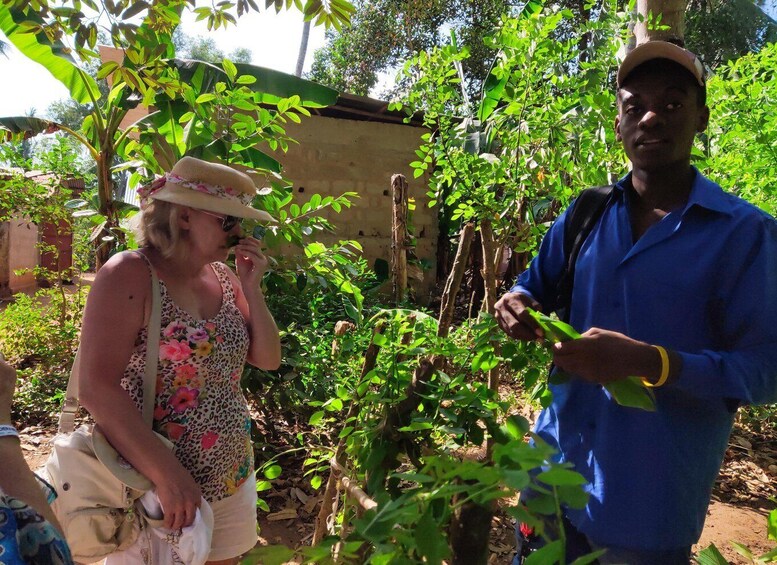 Picture 42 for Activity Zanzibar: Stone Town, Spice Tour and Prison Island Day Trip