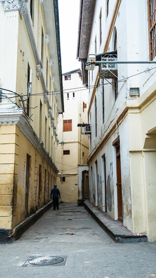Picture 87 for Activity Zanzibar: Stone Town, Spice Tour and Prison Island Day Trip