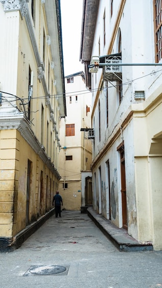 Picture 87 for Activity Zanzibar: Stone Town, Spice Tour and Prison Island Day Trip