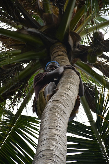 Picture 50 for Activity Zanzibar: Stone Town, Spice Tour and Prison Island Day Trip