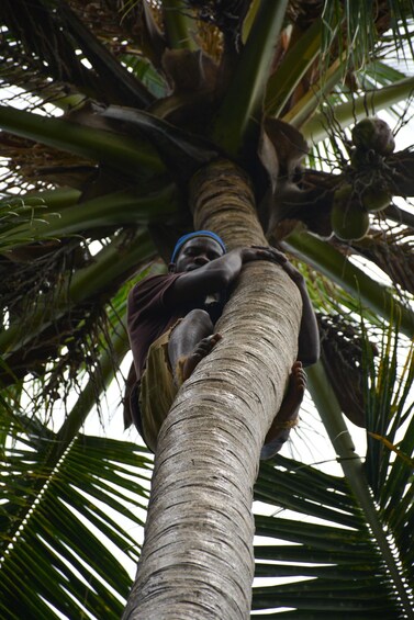 Picture 50 for Activity Zanzibar: Stone Town, Spice Tour and Prison Island Day Trip