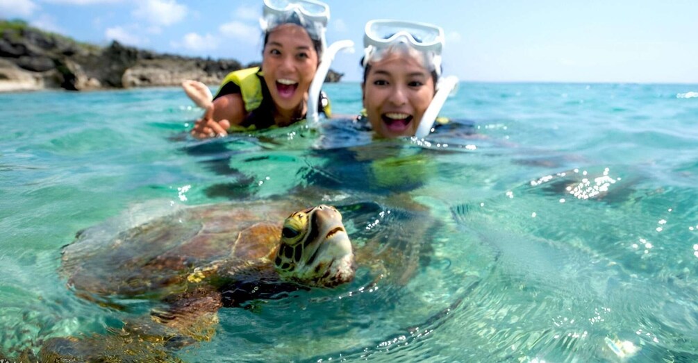 Picture 9 for Activity Bali: Snorkeling on 2 spots with Lunch and Transport