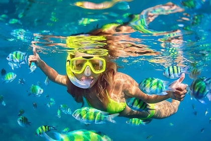 Bali: Snorkeling on 2 spots with Lunch and Transport