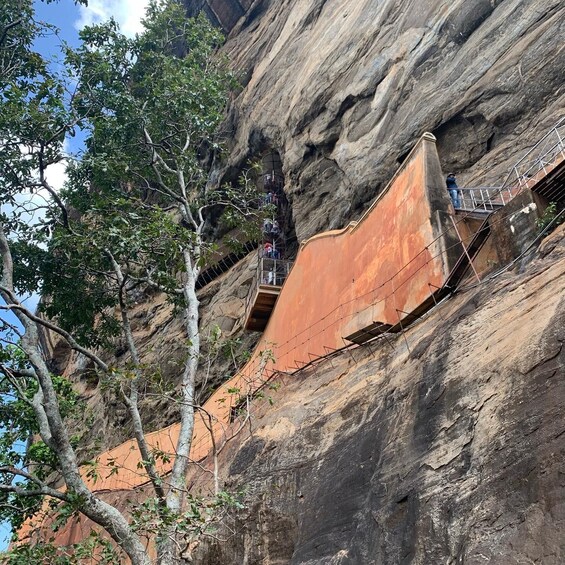 Picture 2 for Activity Kandy: Sigiriya Rock Dambulla and Minneriya National Park