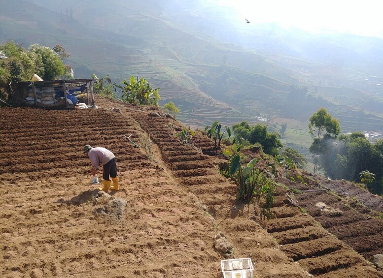 Picture 10 for Activity From Yogyakarta: The Beauty Of Dieng Guided Day Tour