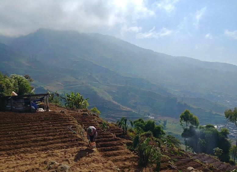 Picture 9 for Activity From Yogyakarta: The Beauty Of Dieng Guided Day Tour