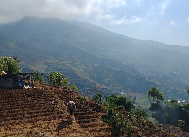 Picture 9 for Activity From Yogyakarta: The Beauty Of Dieng Guided Day Tour