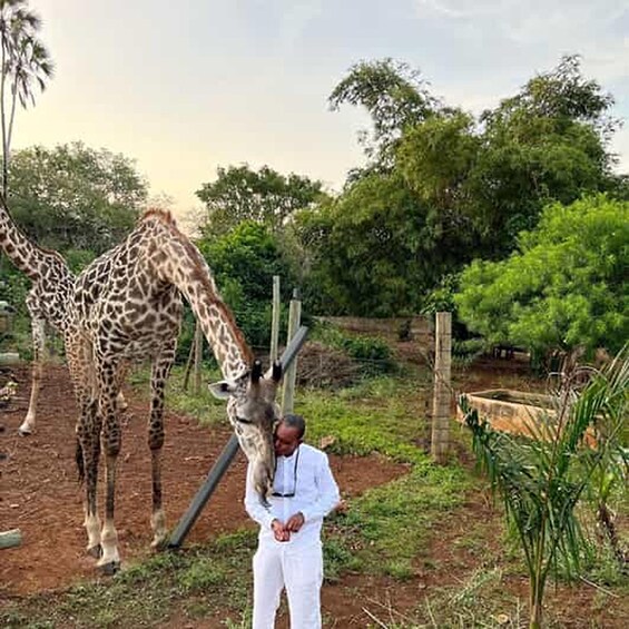 Picture 6 for Activity Diani Beach: Share A Meal With Giraffes & Feeding Experience