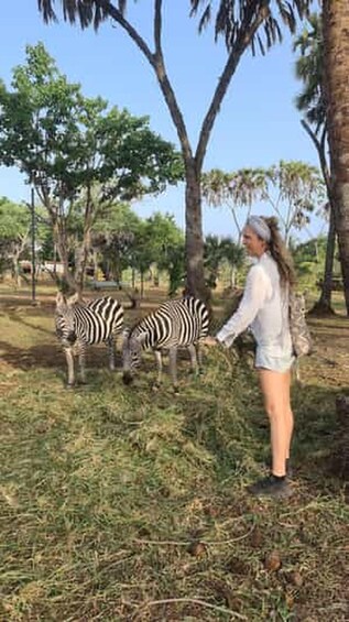 Picture 3 for Activity Diani Beach: Share A Meal With Giraffes & Feeding Experience