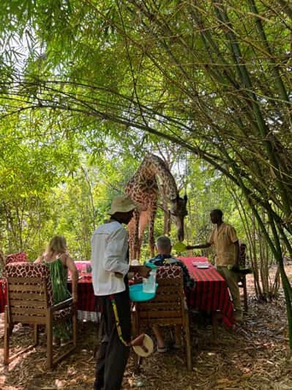 Picture 5 for Activity Diani Beach: Share A Meal With Giraffes & Feeding Experience